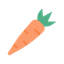 carrot